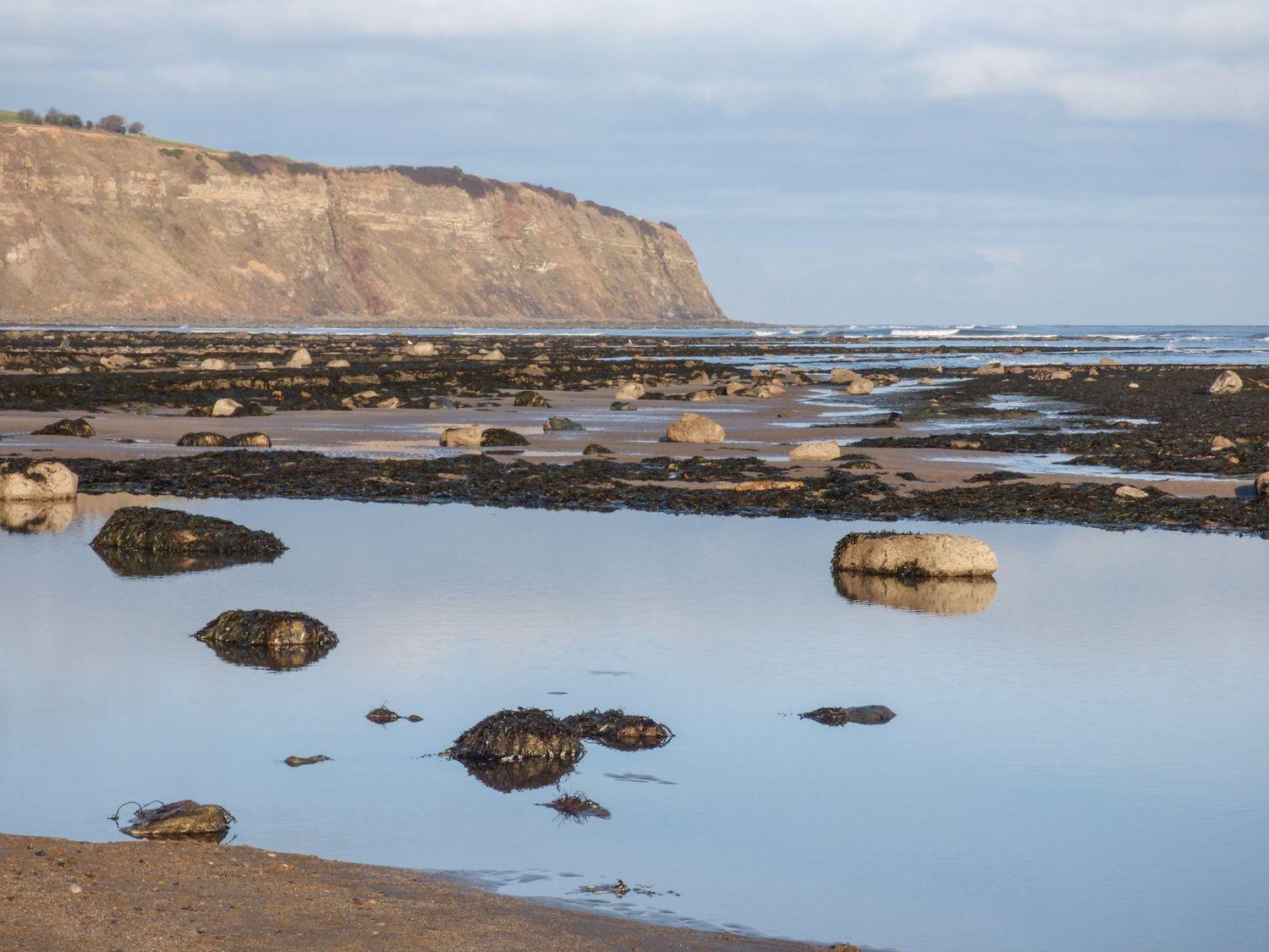 Pebble Cottage Whitby Dış mekan fotoğraf